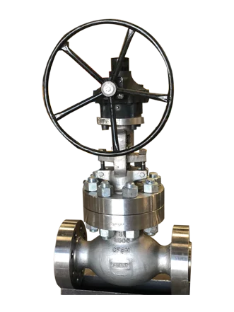 Industrial Globe Valves