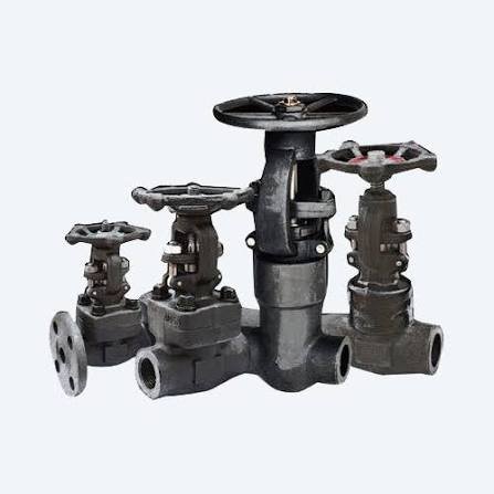 Forged Valves Technical Specifications