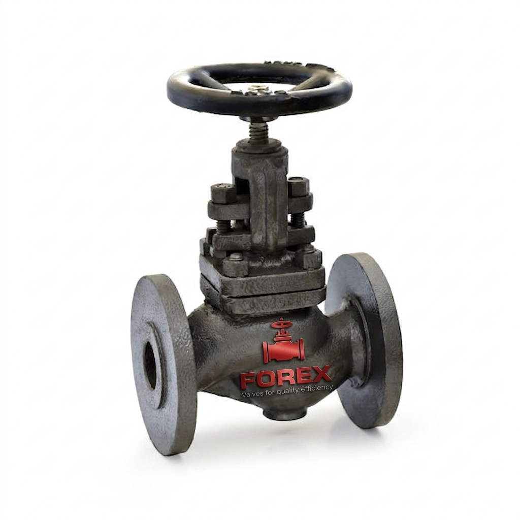Cast Iron Stop Cum Non Return Valve